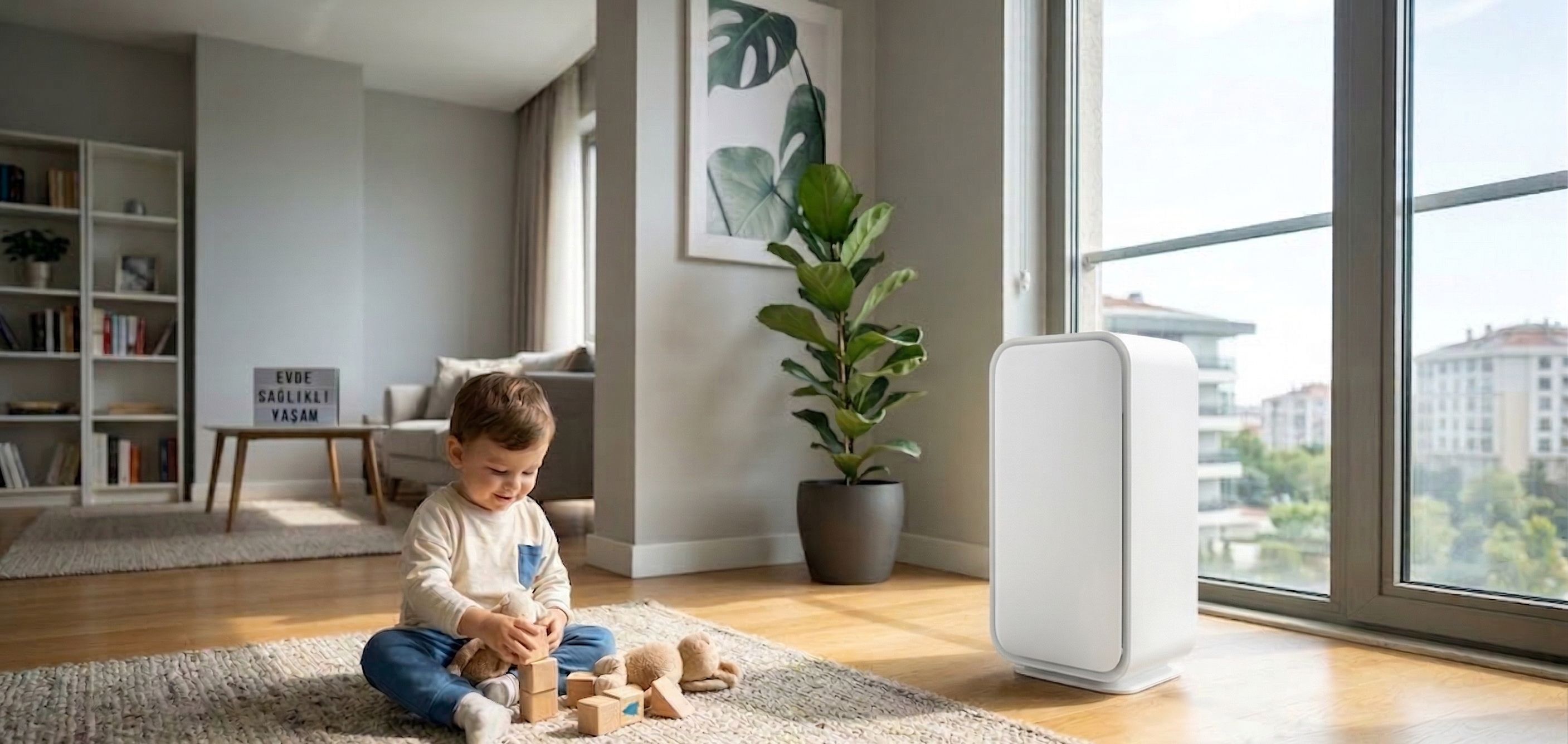 The Hidden Danger at Home: How Dampness & Mold Threaten Your Health and Property