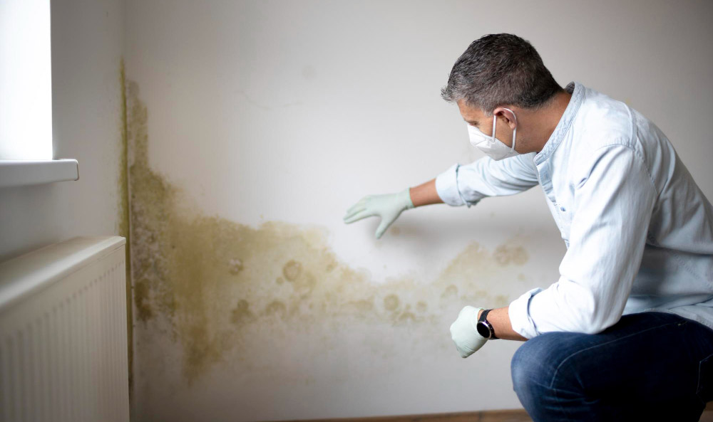 Damp Proofing (Moisture & Humidity Drying)