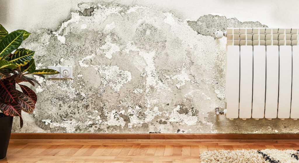 Damp Proofing (Moisture & Humidity Drying)