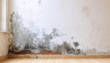 rutubetli evde durmanin zararlari