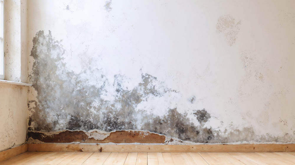 Rutubetli evde durmanin zararlari